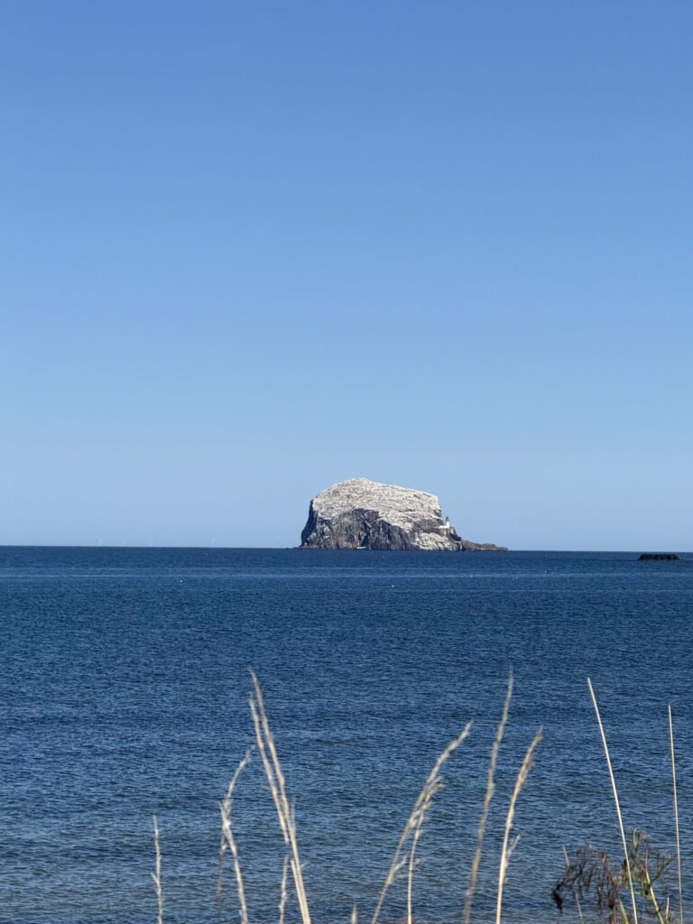 The Bass Rock off North Berwick, home to the world largest northern gannet colony