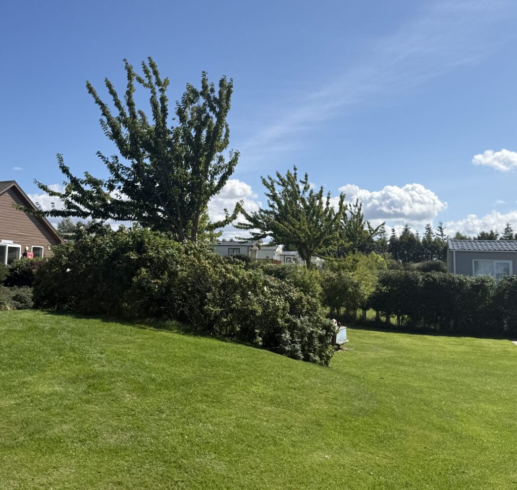 Space and privacy between the pitches at Gilsland Park, North Berwick